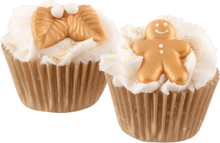 Mini Cupcake Fairy Christmas